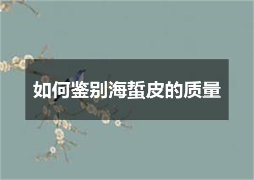 如何鉴别海蜇皮的质量