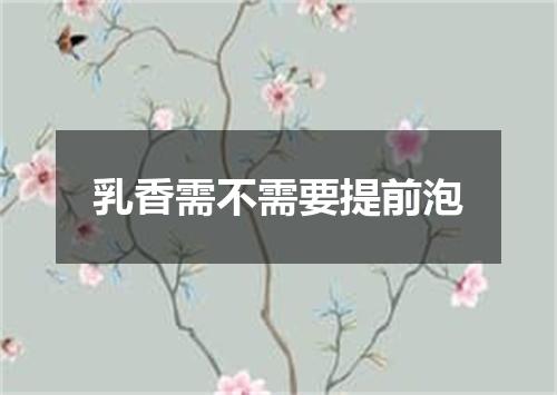 乳香需不需要提前泡