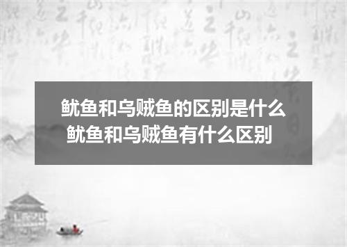 鱿鱼和乌贼鱼的区别是什么 鱿鱼和乌贼鱼有什么区别