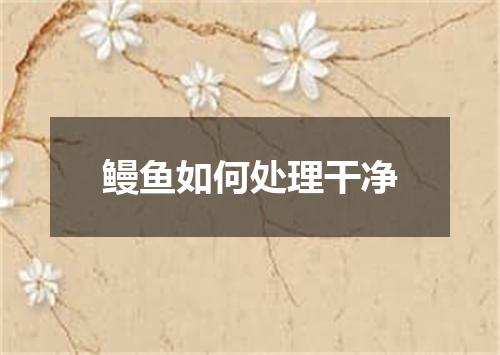 鳗鱼如何处理干净