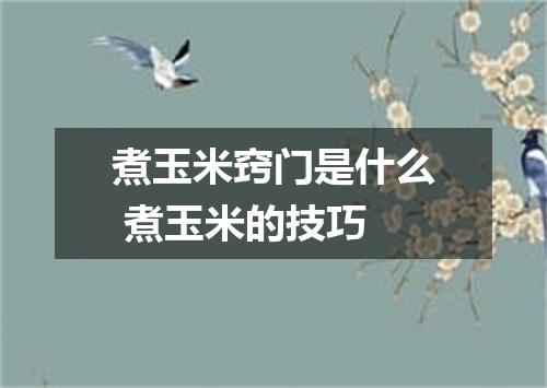 煮玉米窍门是什么 煮玉米的技巧