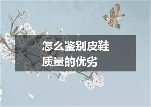 怎么鉴别皮鞋质量的优劣