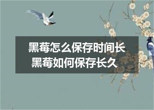黑莓怎么保存时间长 黑莓如何保存长久