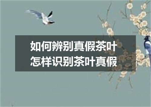 如何辨别真假茶叶 怎样识别茶叶真假