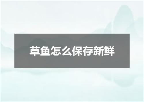草鱼怎么保存新鲜