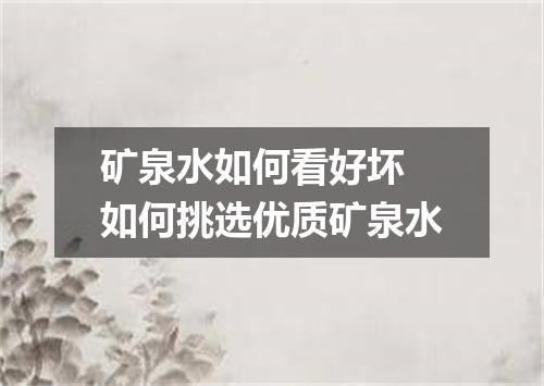 矿泉水如何看好坏 如何挑选优质矿泉水