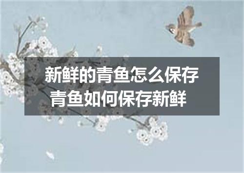新鲜的青鱼怎么保存 青鱼如何保存新鲜
