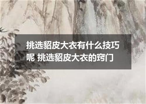 挑选貂皮大衣有什么技巧呢 挑选貂皮大衣的窍门