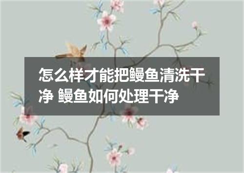 怎么样才能把鳗鱼清洗干净 鳗鱼如何处理干净