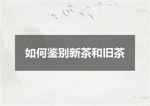 如何鉴别新茶和旧茶