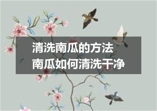 清洗南瓜的方法 南瓜如何清洗干净