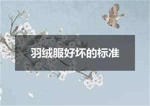 羽绒服好坏的标准