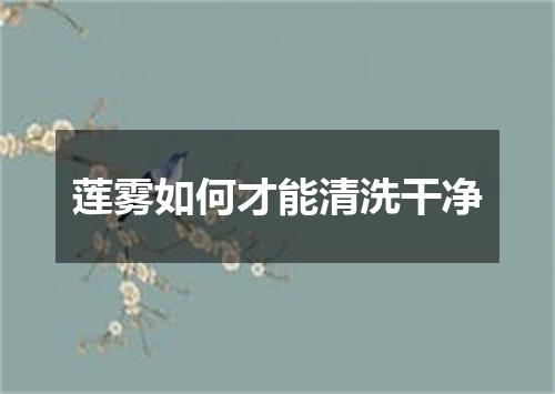 莲雾如何才能清洗干净