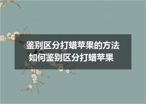 鉴别区分打蜡苹果的方法 如何鉴别区分打蜡苹果
