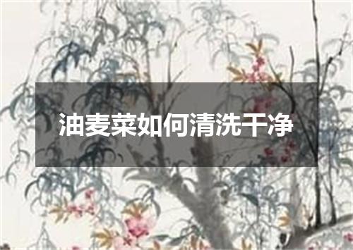 油麦菜如何清洗干净