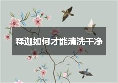 释迦如何才能清洗干净