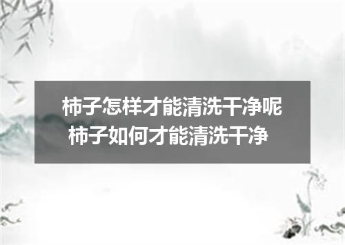 柿子怎样才能清洗干净呢 柿子如何才能清洗干净