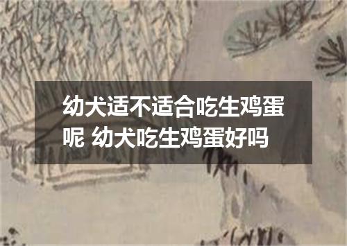 幼犬适不适合吃生鸡蛋呢 幼犬吃生鸡蛋好吗