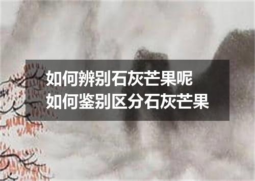 如何辨别石灰芒果呢 如何鉴别区分石灰芒果