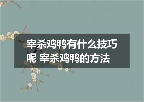宰杀鸡鸭有什么技巧呢 宰杀鸡鸭的方法
