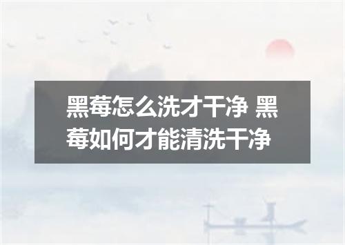黑莓怎么洗才干净 黑莓如何才能清洗干净
