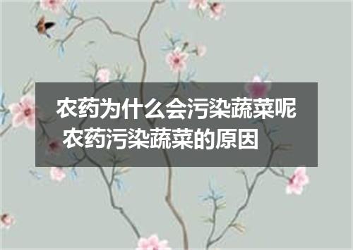 农药为什么会污染蔬菜呢 农药污染蔬菜的原因