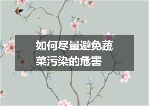 如何尽量避免蔬菜污染的危害