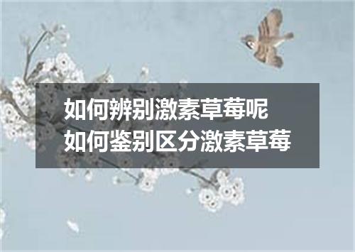 如何辨别激素草莓呢 如何鉴别区分激素草莓