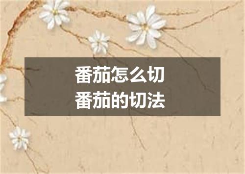 番茄怎么切 番茄的切法