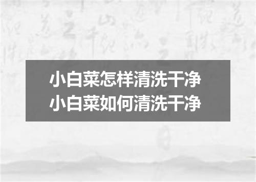 小白菜怎样清洗干净 小白菜如何清洗干净