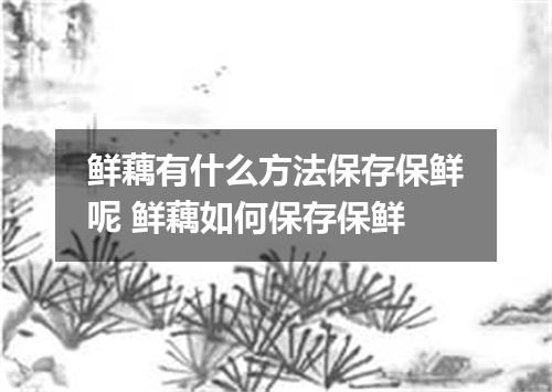 鲜藕有什么方法保存保鲜呢 鲜藕如何保存保鲜