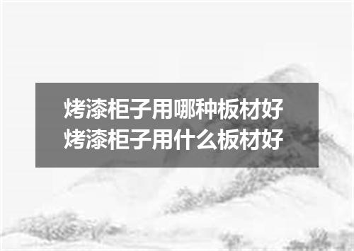 烤漆柜子用哪种板材好 烤漆柜子用什么板材好