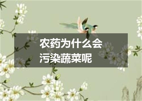 农药为什么会污染蔬菜呢