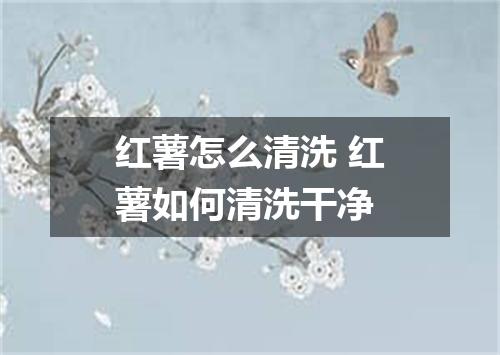 红薯怎么清洗 红薯如何清洗干净