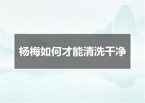 杨梅如何才能清洗干净