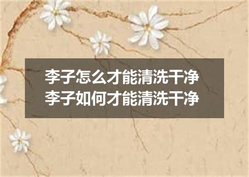 李子怎么才能清洗干净 李子如何才能清洗干净