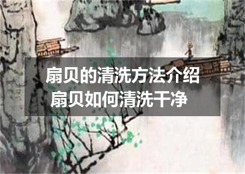 扇贝的清洗方法介绍 扇贝如何清洗干净