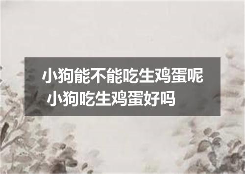 小狗能不能吃生鸡蛋呢 小狗吃生鸡蛋好吗