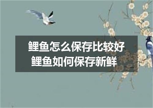 鲤鱼怎么保存比较好 鲤鱼如何保存新鲜