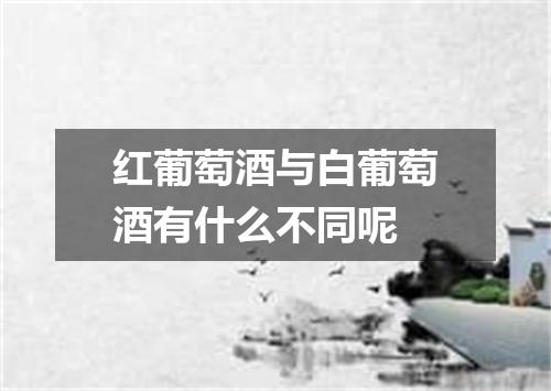 红葡萄酒与白葡萄酒有什么不同呢