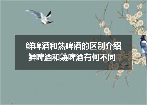 鲜啤酒和熟啤酒的区别介绍 鲜啤酒和熟啤酒有何不同