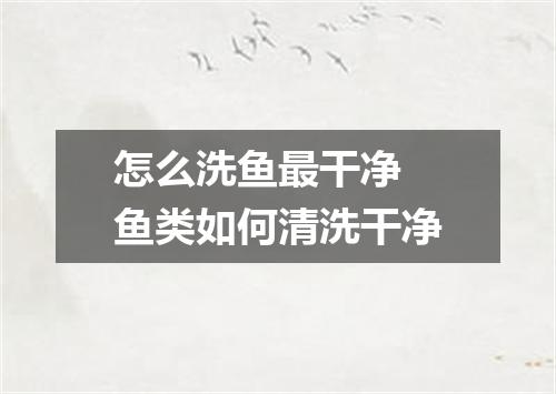 怎么洗鱼最干净 鱼类如何清洗干净