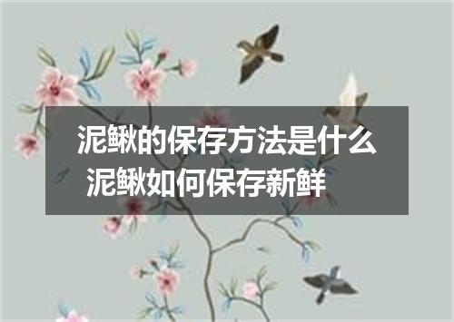 泥鳅的保存方法是什么 泥鳅如何保存新鲜