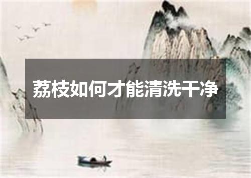 荔枝如何才能清洗干净