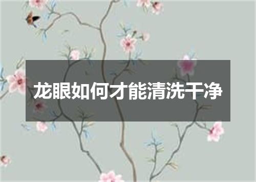龙眼如何才能清洗干净