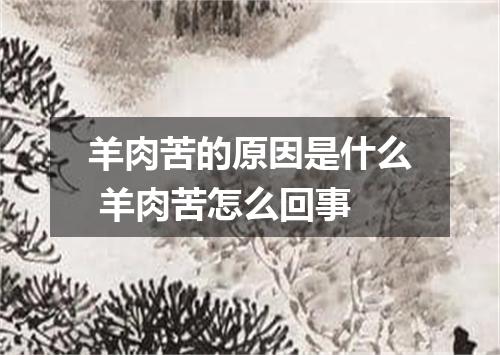 羊肉苦的原因是什么 羊肉苦怎么回事