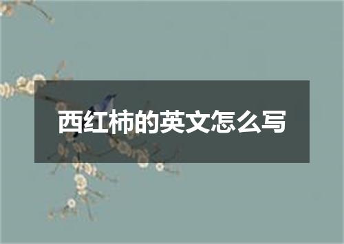西红柿的英文怎么写