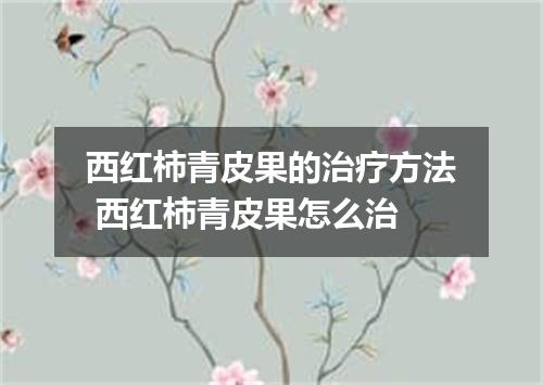 西红柿青皮果的治疗方法 西红柿青皮果怎么治