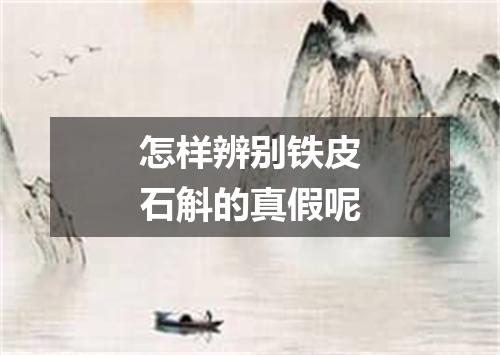 怎样辨别铁皮石斛的真假呢