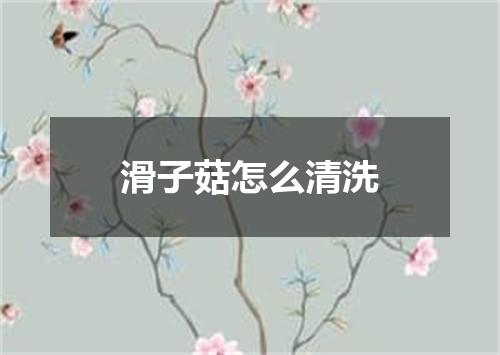 滑子菇怎么清洗